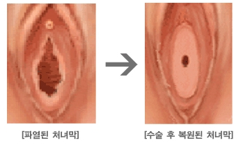 Queen 산부인과